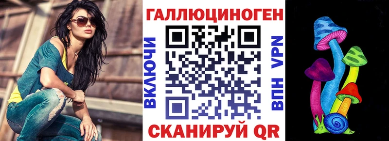 наркотики  Каргополь  Галлюциногенные грибы мицелий 